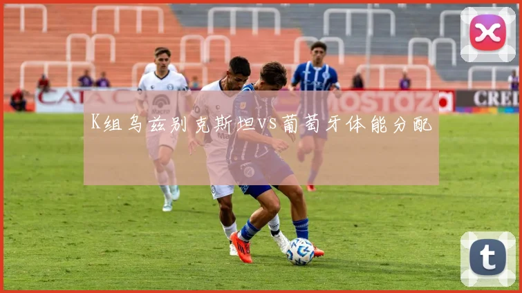 K组乌兹别克斯坦vs葡萄牙体能分配